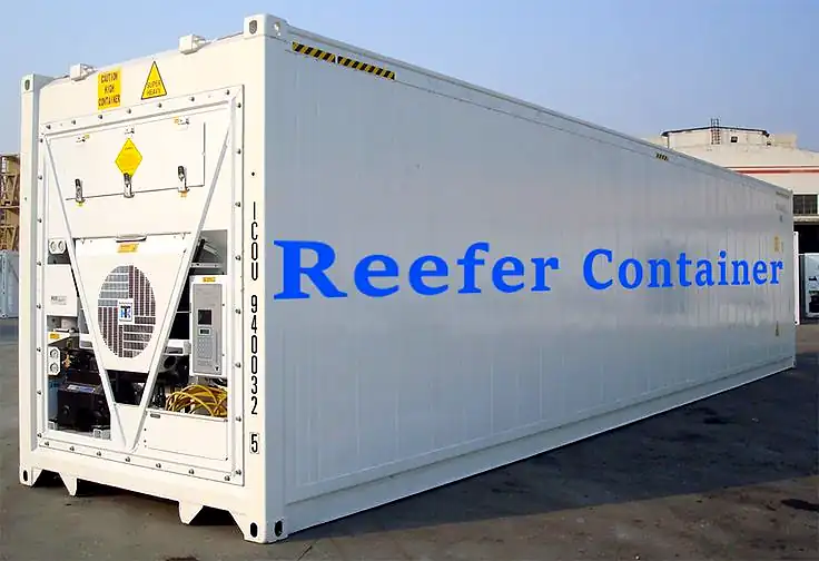Refrigerated container for temperature-controlled storage and transport